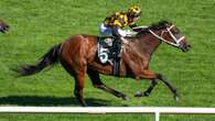 Master trainer Chris Waller wins second Newmarket Handicap