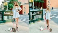 Fake heiress cops death threats after rabbits used in photo shoot dumped in park