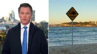 Premier grilled on shark safety measures as Bondi Beach closed
