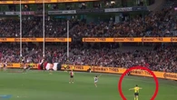 Hawthorn taking action after bizarre decision: ‘No common sense’