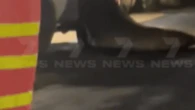 Neil the seal brings chaos to local petrol station as Aussies urged to show ‘common sense’