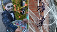 Plea to Aussies to ditch popular Halloween decorations