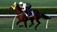The Everest favourite firms after barrier draw: ‘I’m happy’