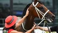 Late $55k gamble pays off for Blue Diamond favourite