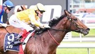 ‘Huge’ drama as Melbourne Cup favourite ruled out by vets: ‘Wow’