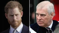 Prince Harry ‘punched’ Prince Andrew in shock new claim