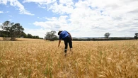 Government to announce $1.1b for new low-carbon fuels industry
