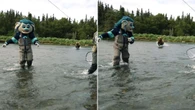 US sports mascot chased by a bear