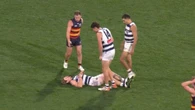 Cats dealt huge blow as star’s final-second injury comes to light