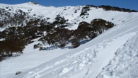 Urgent search for plane missing in Snowy Mountains