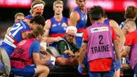 Dogs great weighs in as North challenge Archer ban at AFL tribunal