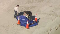 Severed human head floats ashore at beach in US