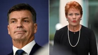 New polls show One Nation support falling as independents gain ground