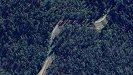 Young passenger killed after car crashes into embankment