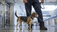Man accused of kicking border security dog who caught him smuggling goods