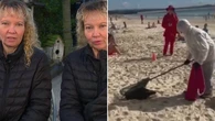 Viral twins reveal why they didn’t ‘hesitate’ to take in sick seabird