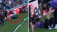 Big Bash star crashes head-first into advertising fence