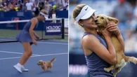 Tennis finalist’s dog runs on court to celebrate massive win