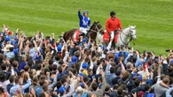 Emotional journey of ‘greatest’ Aussie horse to be told in film