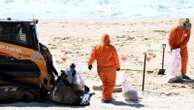 Major development after tar ball mystery shuts Sydney beaches