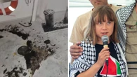 Gaza-bound humanitarian aid boat with Greta Thunberg onboard struck by drone