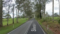 Bus carrying eight students veers into bushes after collision