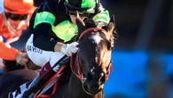G1 winner scratched as weather watch begins for Missile Stakes