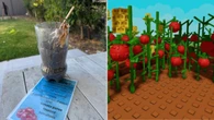 The viral gardening game that is sprouting bedtime battles
