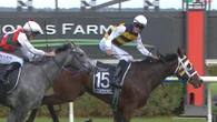 Unlikely $19 outsider’s price skyrockets after Group 1 Derby triumph