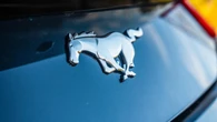 Ford Mustang sedan a possibility, but only if the numbers add up