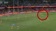 Young AFL star mows down umpire in wild collision