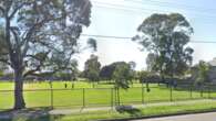 Teen boy stabbed after illegal fireworks set off in Sydney park