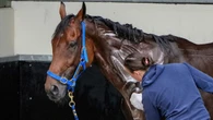 Melbourne Cup hopeful Absurde changes preparation