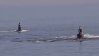 Police hunting jet ski riders over shocking act with dolphins