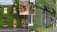 Almost 16 million people have looked at this incredible ‘vine house’ online. Now it’s for sale