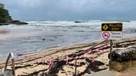 Water quality expert slams sickening Sydney beach findings