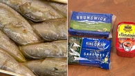 Sardines are the new superfood — but do they live up to the hype?