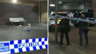 Man seriously injured after being stabbed multiple times in Sydney laneway