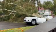 Thousands left without power as severe weather strikes NSW