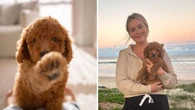 Popular Aussie influencer’s new puppy killed in ‘freak accident’