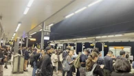 Huge crowds struggle to reach State of Origin amid train chaos