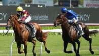 Star colt Broadsiding upstaged in Randwick Guineas