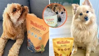 The Aussie dog wellness brand putting Kakadu plum and green-lipped mussel in pet bowls