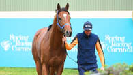 Owners of Cox Plate runner face nervous wait after vet examination