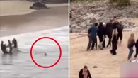 Terrifying footage emerges after teenager mauled by shark