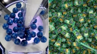 Check your tickets: Hunt for winner of $100m Powerball jackpot