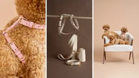 ‘Beautiful’ vegan leather dog walkwear sends shoppers into a frenzy