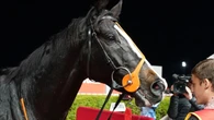 Melbourne Cup contender cops penalty after ‘blitzing’ rivals