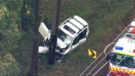 Children rushed to hospital after car slams into tree