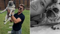 Robert Irwin shares heartbreaking family update while overseas
